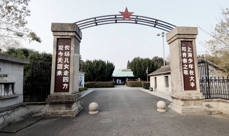 棉纱行业的最新趋势与机遇